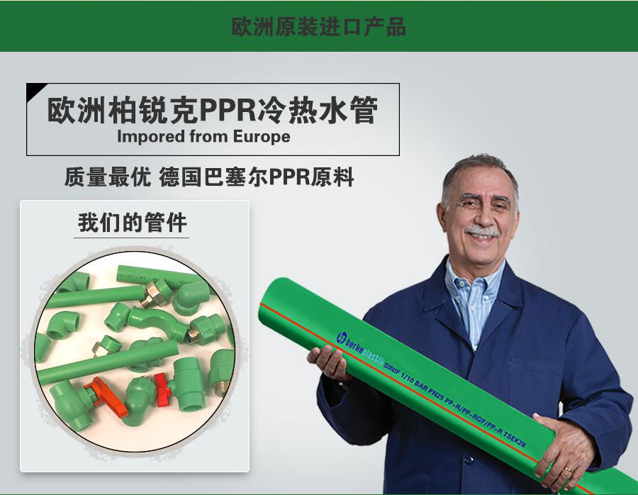 柏銳克PPR管件內絲彎頭